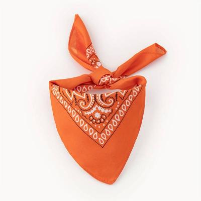 Women's Breathable Paisley Print Headband & Handkerchief - Sweat Absorbent Snug Fit, Vibrant Colors for Sports, Gym, Casual Outings, Gym Accessories, Sweatwicking Fabric